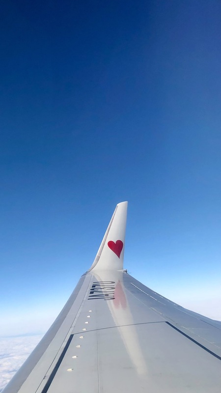 2025_修学旅行01 2025_修学旅行01